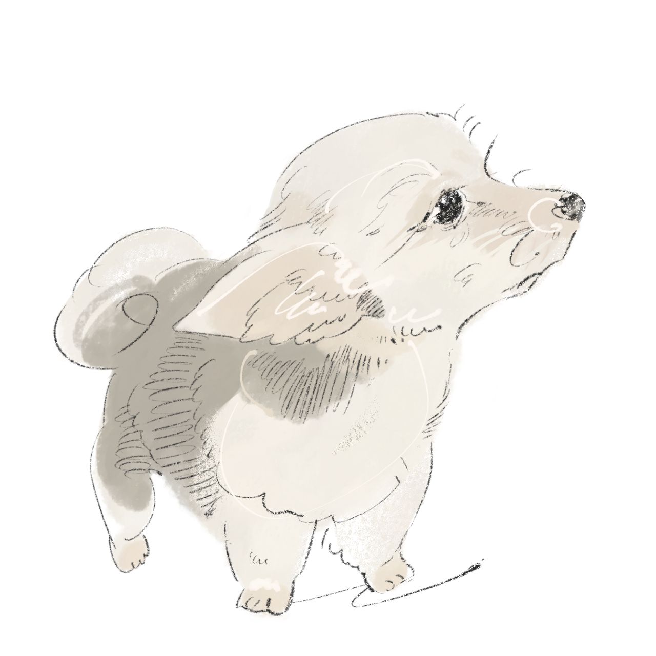 yagami kaori の作品(動物・Animal)